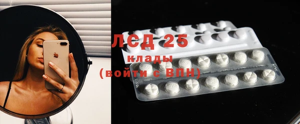 PSILOCYBIN Ветлуга