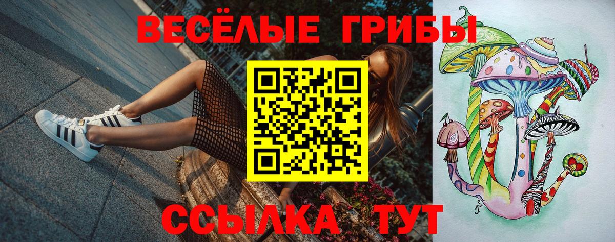 Псилоцибиновые грибы MAGIC MUSHROOMS  Вход с VPN  закладки  Котовск 