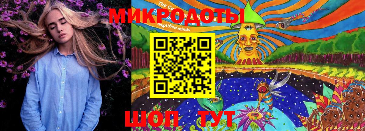 Псилоцибиновые грибы мухоморы Котовск