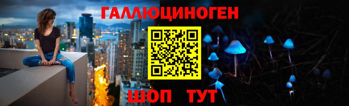 Псилоцибиновые грибы Psilocybe  Котовск 